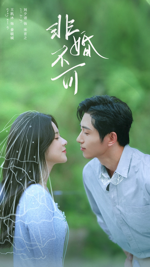 非婚不可（65集）红果免费短剧app免费看全集