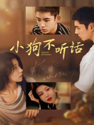 小狗不听话(70集) 小狗不听话(70集)精彩短剧热播中点击下方看全集