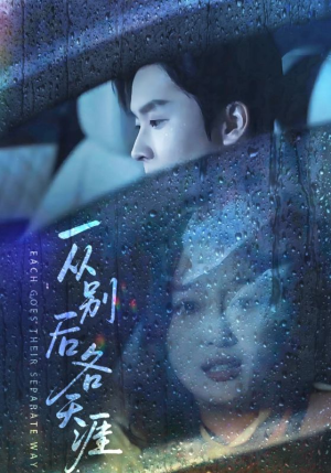 一从别后各天涯（61集）最新热门短剧抢先看