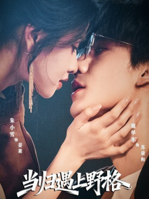 当归遇上野格(66集) 当归遇上野格(66集)热门古装短剧推荐