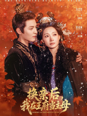 换亲后,我在王府当主母(80集) 换亲后,我在王府当主母(80集)短剧全集热力排行榜之一