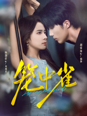 笼中雀(65集) 笼中雀(65集)热门短剧抢先看全集