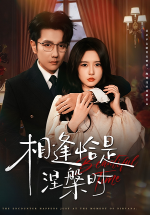 相逢恰是涅槃时（63集）全网独播短剧免费观影