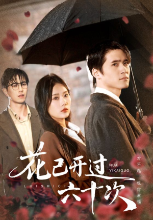 情敌交手她选择躺赢（72集）短剧每日分享推荐