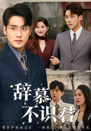 辞慕不识君（77集）简直不要太好看的短剧排行榜