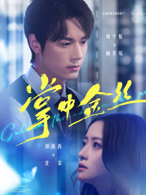 长姐她竟是隐藏大佬（60集）超火热门短剧抢先看