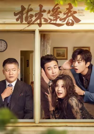 枯木逢春（69集）精彩短剧天天看超级热播短剧