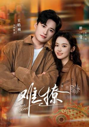 难撩（100集）在红果短剧app免费看