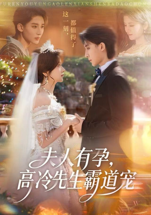 夫人有孕，高冷先生霸道宠（60集）短剧排行榜前十名