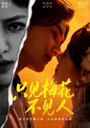 只见梅花不见人（63集）忍不住一口气看到短剧大结局