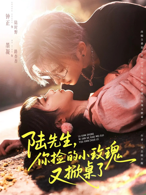 陆先生，你捡的小玫瑰又掀桌了（74集）高分短剧推荐值得一看