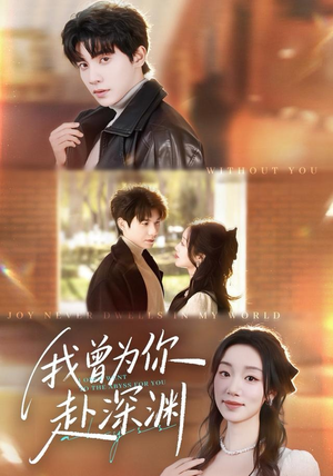 我曾为你赴深渊（63集）免费观看最新短剧大结局