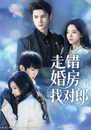 走错婚房找对郎(50集) 走错婚房找对郎(50集) 喜欢短剧的看过来