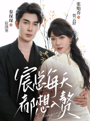 宸总每天都想入赘（65集）短剧越看越精彩