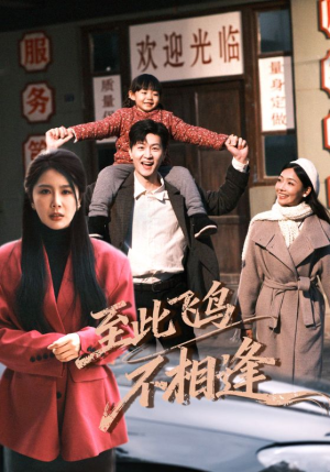 至此飞鸟不相逢（70集）不睡觉也要看完的短剧