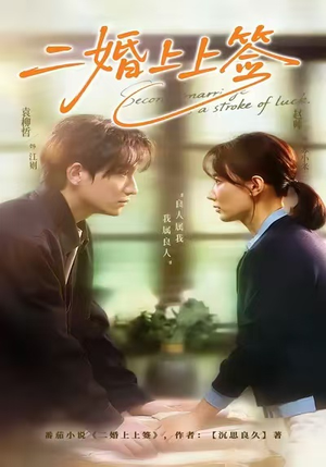 二婚上上签(71集) 二婚上上签(71集)海量热门短剧免费看