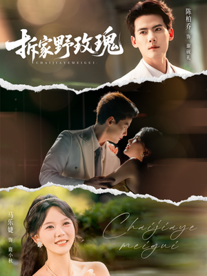 拆家野玫瑰(80集) 拆家野玫瑰(80集)短剧排行榜前十名