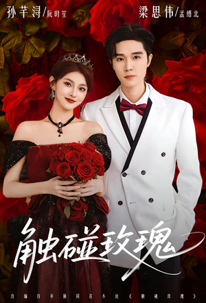 触碰玫瑰（80集）全集短剧大结局抢先看