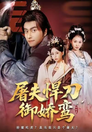 屠夫悍刀御娇鸾（81集）一毛不花追完短剧的平台精选