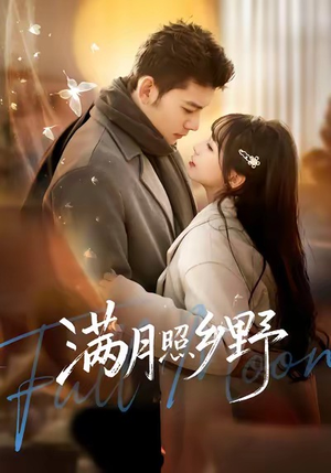 满月照乡野（70集）超精彩热门短剧推荐