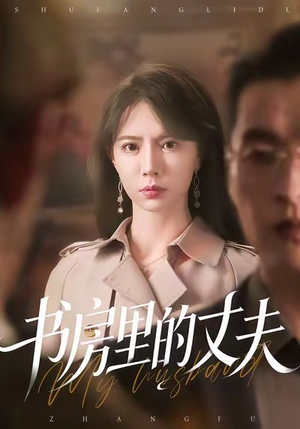 书房里的丈夫（100集）最热短剧火爆上线