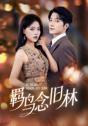 羁鸟念旧林（60集）热播短剧持续更新