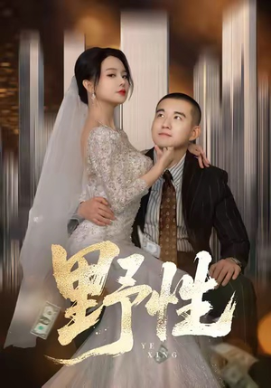 野性（70集）好的短剧分享给大家