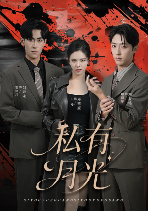 私有月光（78集）免费观看排行榜前十短剧全集
