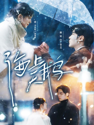 海上天鹅（70集）巨好看的短剧推荐