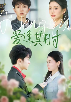 爱逢其时（47集）火爆短剧精彩分享