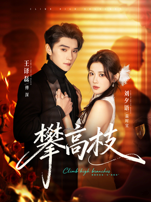 攀高枝（70集）热播短剧持续分享