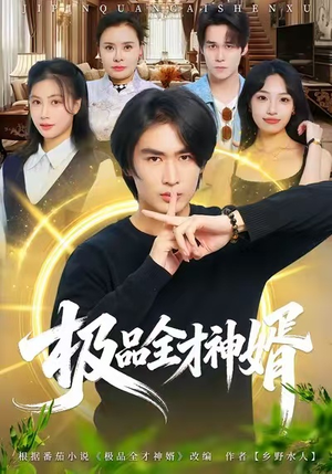 极品全才神婿（67集）零花钱看整部剧的短剧平台