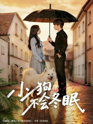 小狗不会冬眠（70集）这部短剧我爱了