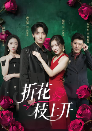 折花枝上开（51集）短剧推荐我每天持续更新