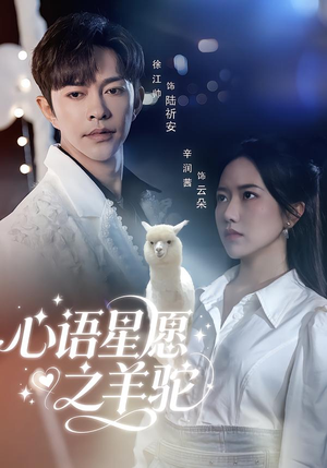 心语星愿之羊驼（60集）无需下载在线短剧免费看