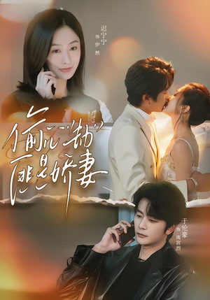 偷心劫匪是娇妻（61集）热门短剧追不停