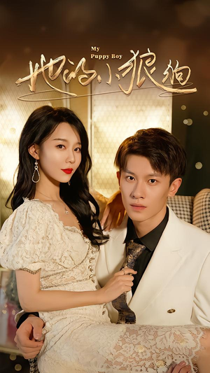 灿烂的风（60集）短剧限免全集任你点