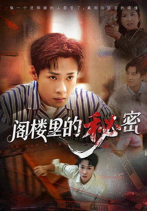 阁楼里的秘密（76集）好看又上头的短剧