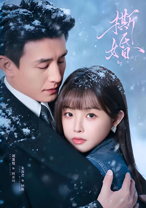 撕婚（23集）全网最全短剧资源免费看