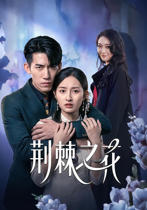 荆棘之花（100集）一口气享受短剧大结局的快感