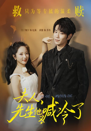 夫人，先生他又喊冷了（60集）正能量短剧分享