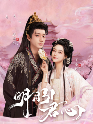 明月引君心（74集）无需下载在线短剧免费看