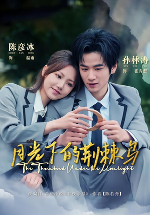 月光下的荆棘鸟（80集）好看又上头的热播短剧