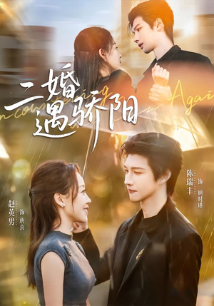 二婚遇骄阳（65集）短剧经典全集任你选