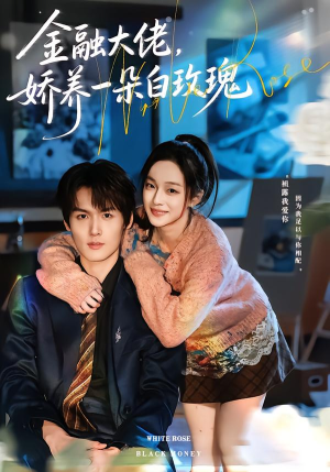 金融大佬，娇养一朵白玫瑰（70集）直接看到大结局的短剧