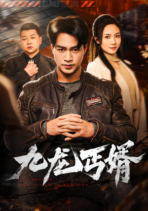 九龙丐婿（81集）在线观看全集高清资源的短剧