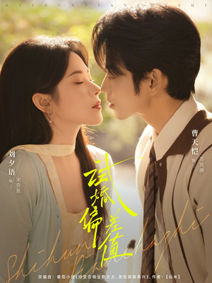 试婚偏差值（66集）每天分享不一样的短剧