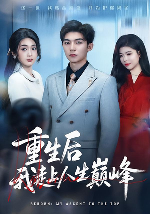 重生后我走上人生巅峰（80集）一口气追到短剧大结局超过瘾