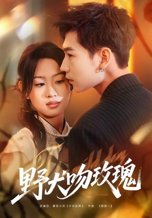 野犬吻玫瑰（70集）短剧合集4K修复版