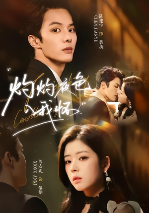 灼灼夜色入我怀（60集）番茄短剧免费看